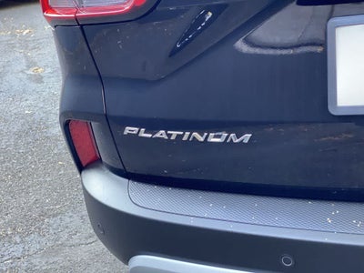 2025 Ford Escape Platinum