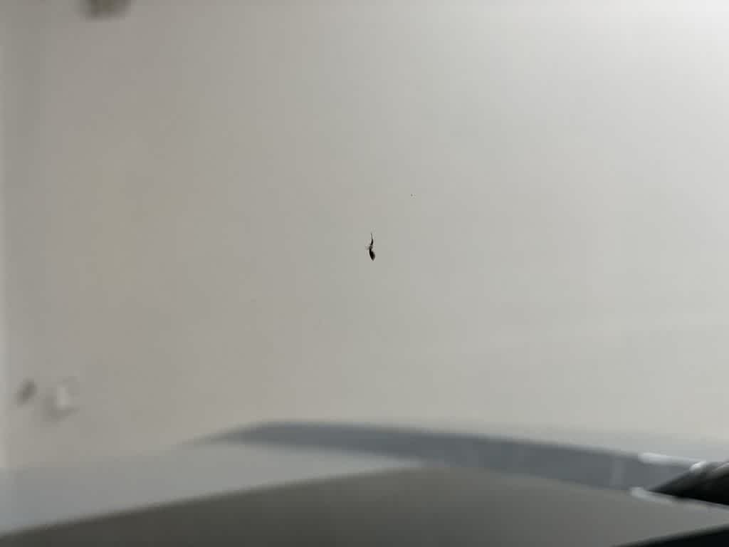 2024 GMC HUMMER EV Pickup 2X