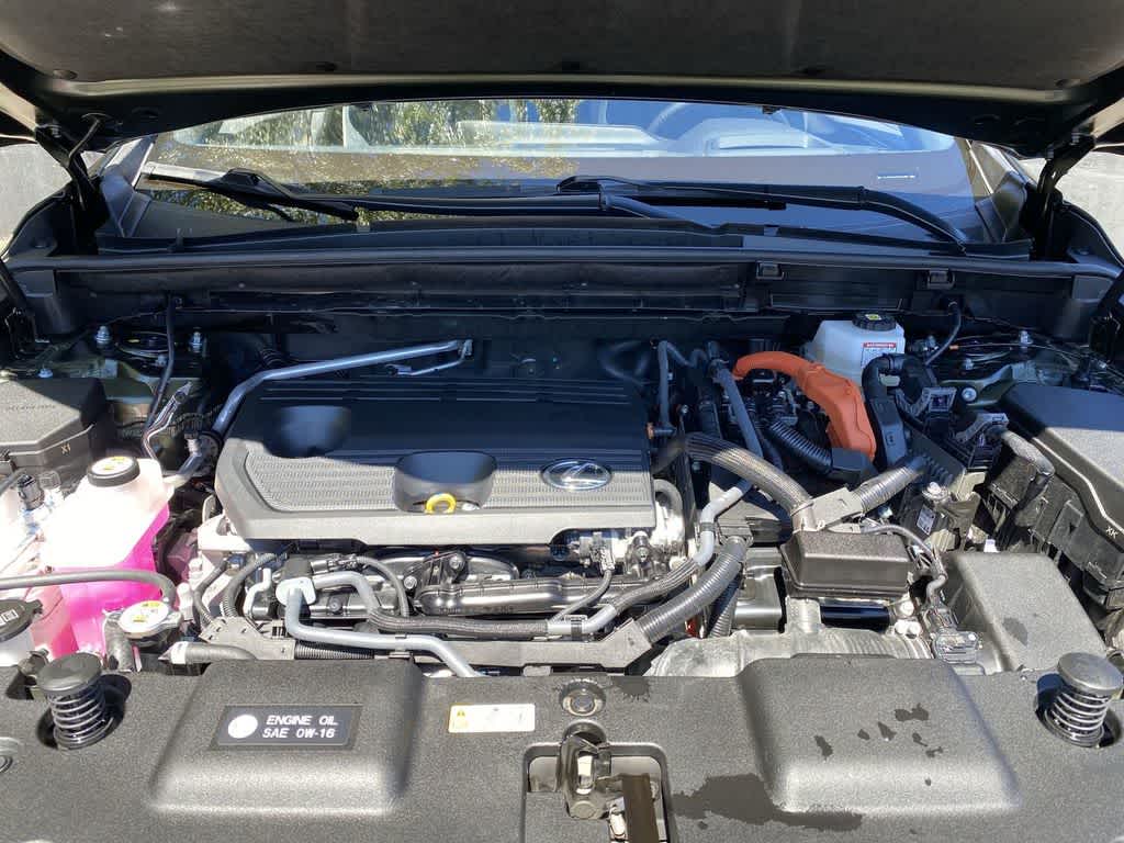 2024 Lexus NX NX 350h Premium
