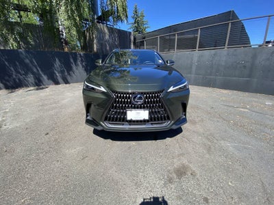 2024 Lexus NX NX 350h Premium